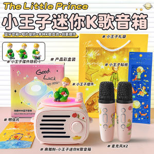 Mini Bluetooth Speaker with Microphone Integrated Singing Karaoke Soundbox Cute Style Female Version Birthday Gift Ideas