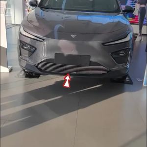 ZLWR NETA X ตาข่ายกันแมลง กระจังหน้ารถ กันชน ตาข่ายกันแมลง ดัดแปลงแถบสว่าง รถดัดแปลงภายนอก อุปกรณ์เสริม วัสดุสแตนเลส เหมาะสำหรับ NETA X