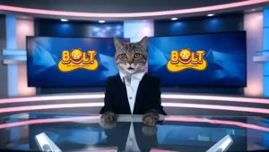 Bolt Can Salmon Jelly 400 gr