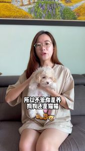 Petto Paw AntiFungal Cream 30g for Cats & Dogs Luka Fungus Bacteria Skin Disease / Gatal / Rashes Kucing Anjing Arnab