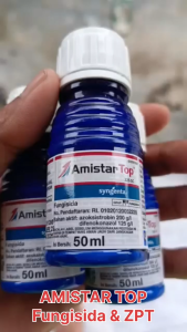 AMISTARTOP 325 SC 50 ML Original Fungisida Formula Sistemik ZPT Syngenta Obat Jamur Ampuh