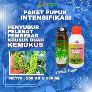 Pupuk Khusus Pelebat Buah Kemukus: Solusi Optimal untuk Pertumbuhan Tanaman