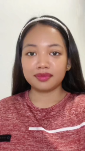 Miss D Chicken Pastil Premium Filipino Rice Topping Savory Ready To Eat Meal Favorite PH