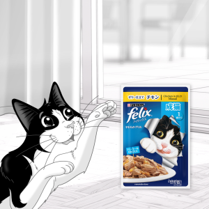 Nestle Purina FELIX Chicken in Jelly Adult Cat Wet Food (85g x36)