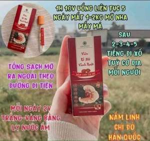 Xổ Mỡ Vành Ruột Linh Chi Đỏ Chính Hãng ( Hộp 10 Viên )
