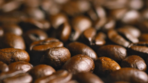 (Xmas Special) Greybox Geisha Blend Coffee Beans 200g | Medium Roast | Tangerine Floral Fruit drops