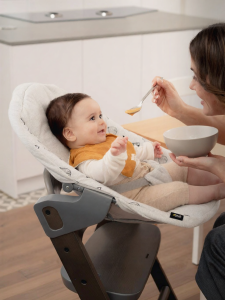 Metal 2 in 1 Rocking Chair & High Chair