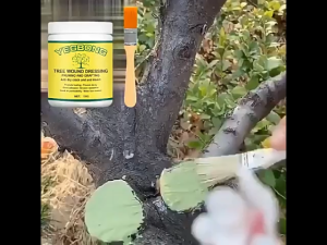 100g Tree Wound Dressing Plant Pruning Grafting Sealer Bonsai Cut Wound Healing Paste With Brush