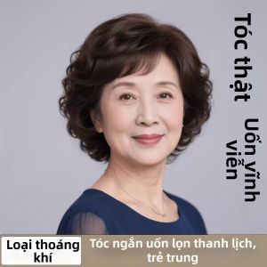 Weiwei | Middle-aged Elderly Natural Breathable Lightweight Full Wig