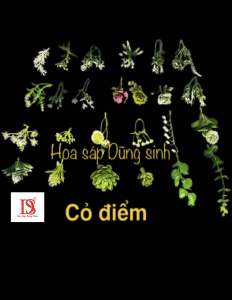 [ C430 ] ( 1kg ) Sỉ Cỏ điểm trang trí  bó  hoa sáp hoa giả 20 mẫu 1kg trang trí giỏ quà hộp quà giỏ hoa quả