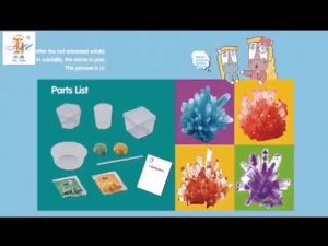 Crystal Growing Crystal Plant STEM Experiment Kit Early Education Puzzle Toys Children Science Sains STEAM Krystal