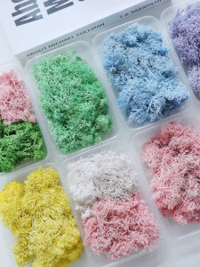 ดอกไม้นิรันดร์ MOSS ของขวัญกล่อง DIY ดอกไม้แห้ง Handcraft วัสดุแพ็คกรอบแก้วสําหรับพืชภาพวาดตกแต่ง