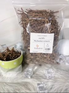 หญ้าใต้ใบ Phyllanthus urinaria 90 กรัม 1 ถุง สมุนไพร แท้ ออแกนิค คนรัก สุขภาพ เก็บรักษาได้นาน By SS Thai