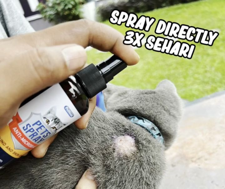 Ubat Kurap Luka Sporo Kucing Pets Spray Nano Silver 40ppm 5nm Kurap