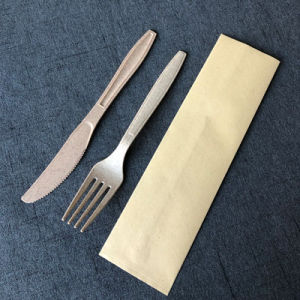 ชุดมีด ช้อน ตะเกียบ ผลิตจากเส้นใยข้าวโพด ใช้แล้วทิ้ง ชุดอาหารจานเดียว ช้อนสำหรับทานข้าวผัด กล่องมีด ช้อน ตะเกียบ