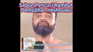 Jaysuing  Syampu Pembaikan Polygonum Multiflorum   Syampu Rambut Pelembap Rambut Hitam Semula Jadi