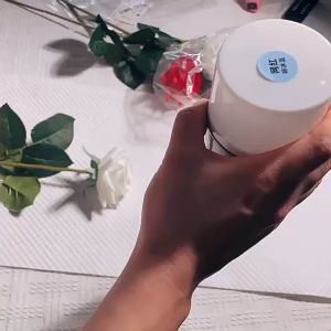 Sơn xịt tạo màu cho hoa tuơi hoa khô và hoa sáp cao cấp không lo bay màu nhăn cánh hoa