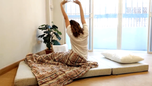 ErgoStu House ที่นอน สุขภาพ ฟูตง ญี่ปุ่น Futon พับได้ 3ฟุต หนา10cm เบาะรองนอน ท็อปเปอร์ Topper ที่รองนอน B_futon