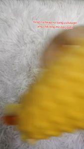 CYN Stuffed Animal toys soothe Appease towel soft plush toys