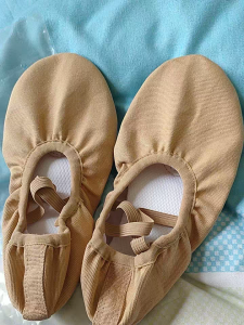 Mềm Giày Khiêu Vũ Đáy Nữ Giày Khiêu Vũ Múa Ba Lê Trung Quốc Không Buộc Hình Móng Vuốt Mèo Người Lớn Giày Tập Luyện Vật Lý Canvas Phiên Bản Nâng Cấp