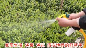 50M Car Wash High Presuure Water Spraygun Garden Hose PVC Pipe Irrigation Hose PAIP AIR/PAIR GETAH/PAIP PERTANIAN