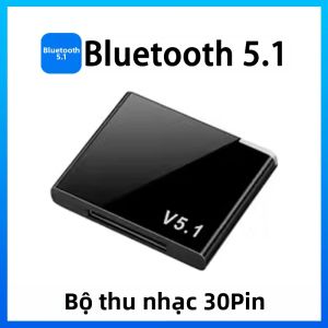 VAORLO | Mini 30Pin Bộ Thu Âm Nhạc Bluetooth A2DP/AVRCP Bộ Chuyển Đổi Âm Thanh Không Dây HiFi Stereo Cho iPhone iPod USB Plug & Play
