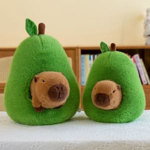 Capybara Plush Doll Cute Capibara Anime Fluffty Toy Kawaii Plushie Avocado Doll Gift for Girl Friend Soft Stuffed Animals