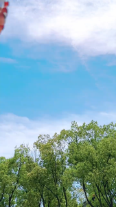 (0.00~-4.50) คอนแทคเลนส์ 6 เดือน คอนแทคเลนส์สายตาสั้นแห่งปี Brown/Red 14.2mm-14.5mm กล่องเลนส์ฟรี