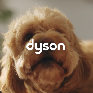 Dyson V12 Detect Slim Absolute Yellow/Nickel (HEPA) Cordless Vacuum | Compact Powerful Anti-tangle