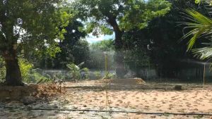 Béc tưới phun mưa SD9000 không bù áp - Tưới phun mưa 360 độ có bù áp tùy chọn lưu lượng- Hệ thống tưới phun mưa