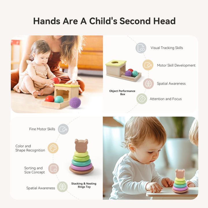 Montessori Life Cycle Puzzel – Houten Levenscyclusbord Met Dierfiguren, Matching Game Voor Kleuters (3-6 Jaar), Educatief Speelgoed, 40 Stukjes