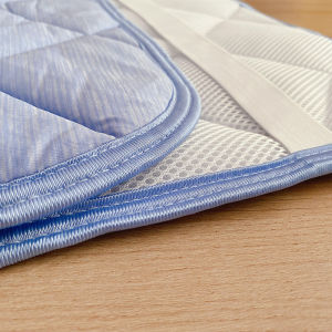 Ultra-Cool Sensation Smooth Antibacterial Moisture-Wicking Summer Pillowcase Pillow Towel Pillow Pad High-Tech Fabric Bedding