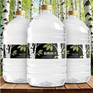 No Additives Natural Birch Juice Whole Case