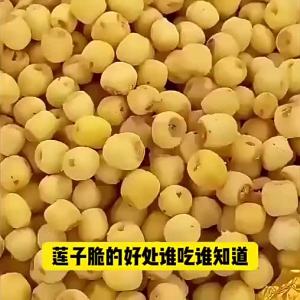 Instant Lotus Seed Crisp 250G Crispy Dried Lotus Seed Core Removed Coreless Dehydration Fruit and Vegetables Health Care Dry New Snacks