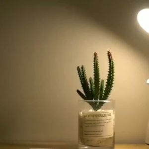 Đèn led để bàn học sạc usb có kệ đựng bút hoặc điện thoại hình tròn -  - đèn bàn - den doc sach - den hoc - giá đưng bút - đèn sạc