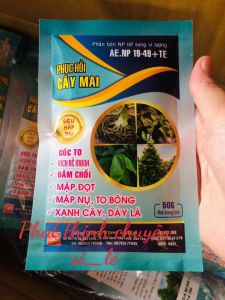 10 Gói Phân bón Phục Hồi Cây Mai Trước và Sau Tết Giúp Ra Rễ Mới Ra Đọt Mạnh Mập Nu To Bông To Gốc Xanh Cây Dày Lá Tốt Xum Xuê