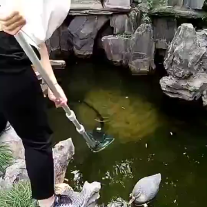 Unicorn New Pool Vacuum Cleaner Swimming Pool Underwater Cleaning Vacuum Pump Fish Pond Fish Waste Small Poo