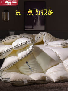 Thick Winter down Alternative Duvet Soybean Fiber Core Single Person Four Season Universal Spring Autumn Air Conditioner Duvet