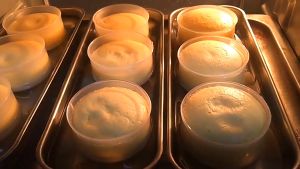10Pcs Cup Bolu Masuk Microwave / Cup Puding Tahan Panas Bisa Masuk Oven / Puding Cup Gelas Puding Oven / Cup Cakes / Mika Cup Pudding Cup / Dessert Cup / Mika Dessert / Mika Puding / Mika Oven SH X19