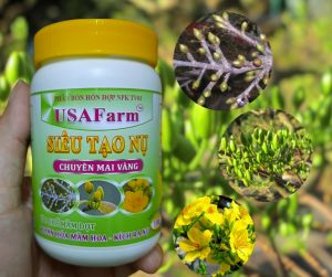 SIÊU TẠO NỤ MAI VÀNG giúp cây Mai ra nhiều nụ nhiều hoa (hủ 100g) dạng bột dễ sử dụng và bảo quản