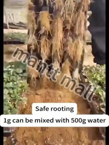 ✨Effectively Improve the Success Rate of Cuttings✨ Super Rooting Fertilizer 500ml/1000ml Rapid Rooting Foliar Fertilizer from Japan