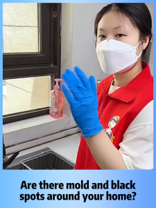 ✨Home Care✨Mold Remover Gel 120g Mold Cleaner Mildew Mold Remover Suitable For Home Appliances And Furniture