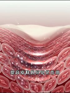 Ginawa ng beijing tongrentang. Compound vitamine chewable tablet ng bitamina c nicotinamide at bitamina e. Isang kumbinasyon ng tatlong nutrisyon.