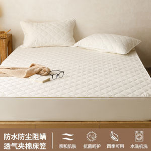 Non-Cotton Mattress Protector Summer Cotton Sandwich Single Piece Four Seasons Universal Waterproof Urine Proof Bedding Cover