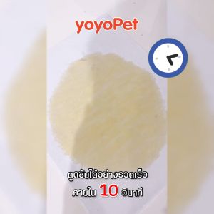 yoyopet :  Pet Pee Paper กระดาษเช็ดฉี่สัตว์เลี้ยงคุณภาพดี กระดาษซับปัสสาวะสุนัข แมว ซึบซับเร็ว กำจัดกลิ่นได้ดี