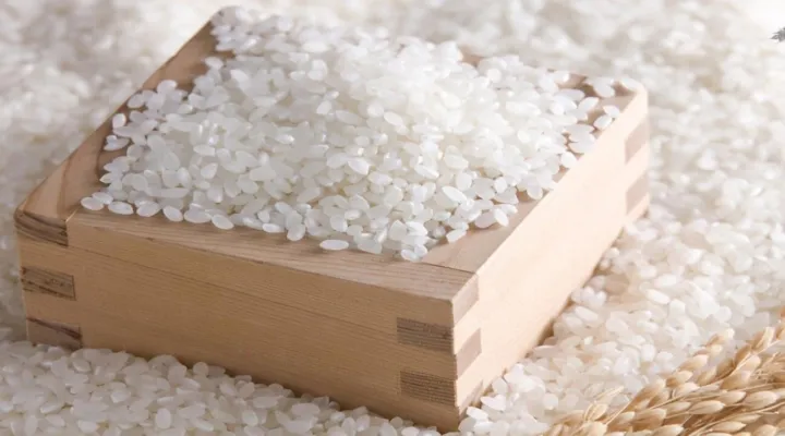 DMT100 Japanese rice Japonica Rice Whole round grain for sushi paella ...