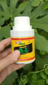 Vitamin B1 Liquinox isi 100ml - hormon anti stress tanaman
