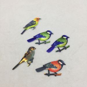 ป้ายผ้าปักลายนกไหมแท้ DIY อุปกรณ์งานฝีมือ วัสดุตกแต่งเสื้อผ้า ลายสัตว์ 2 ชิ้น อุปกรณ์ตกแต่งงานฝีมือ เครื่องประดับแฟชั่น