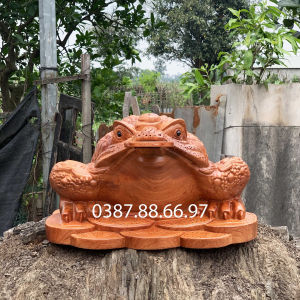 Tượng cóc ngậm tiền ( thiềm thừ ) rộng 30 35 40cm gỗ hương cực đẹp