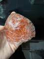 10gr yến huyết tinh chế_tặng kèm thố sứ(giá dùng thử). 